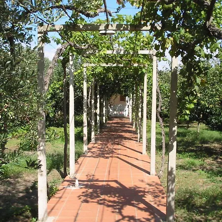 Patitari غالّيبولي