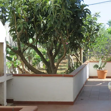 Patitari * غالّيبولي