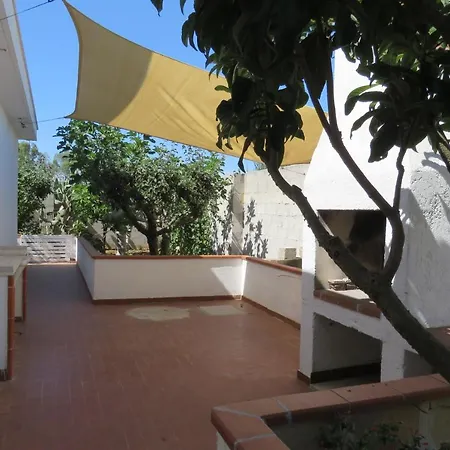 Patitari غالّيبولي