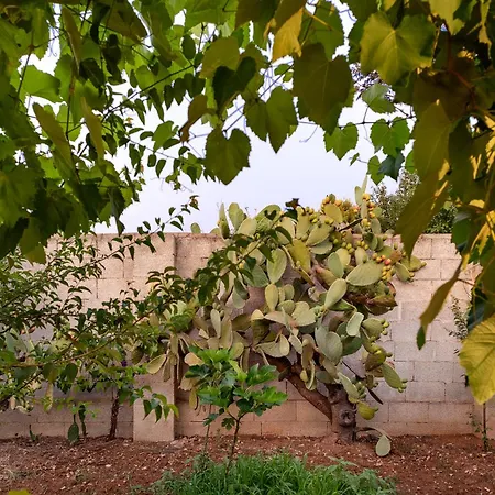 Holiday home Patitari Gallipoli