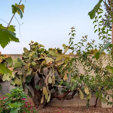 بيت للعطل Patitari