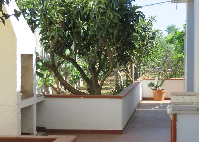 Patitari * Gallipoli