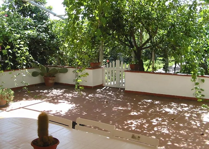 Patitari * Gallipolli