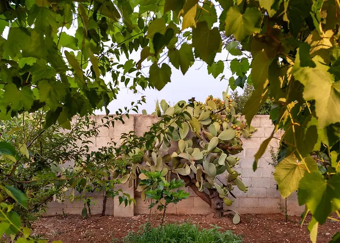 Holiday home Patitari Gallipoli