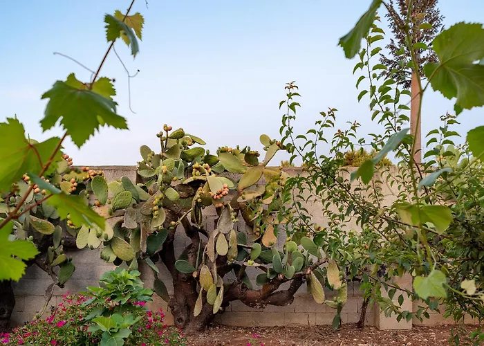 Semesterbostad Patitari